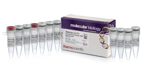 ThermoFisher 赛默飞  K1622  RevertAid First Strand cDNA Synthesis Kit