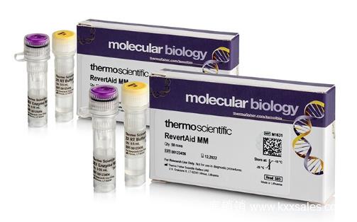ThermoFisher 赛默飞  M1632  RevertAid™ 预混液